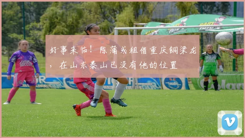 好事来临!陈蒲或租借重庆铜梁龙,在山东泰山已没有他的位置