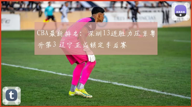CBA最新排名：深圳13连胜力压京粤升第3 辽宁正式锁定季后赛
