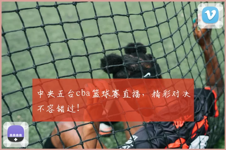 中央五台cba篮球赛直播，精彩对决不容错过！