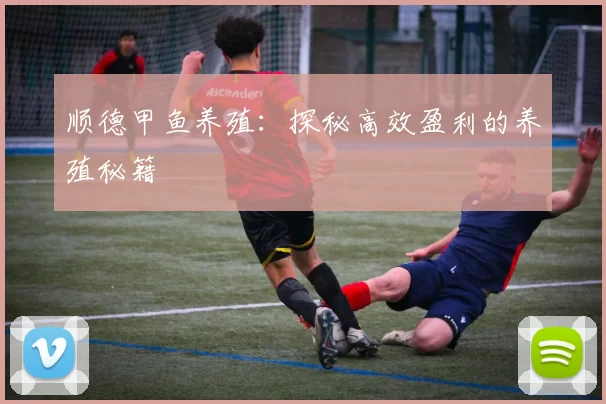 顺德甲鱼养殖：探秘高效盈利的养殖秘籍