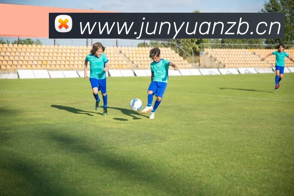 开云手机站官方版网站登录入口 - 开云(中国)品牌故事